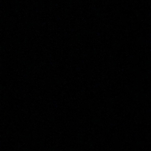 Meet your Posher, Max - Picture 1 of 1